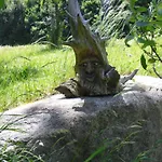 Häringer Mühle Bad Häring
