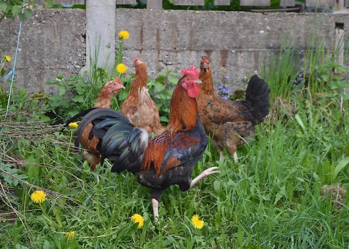 Haeringer Muehle Apartamento Bad Häring