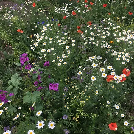 Appartement Haeringer Muehle