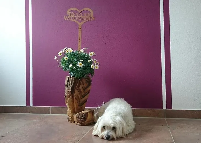 アパート Haeringer Muehle バート・ヘーリング